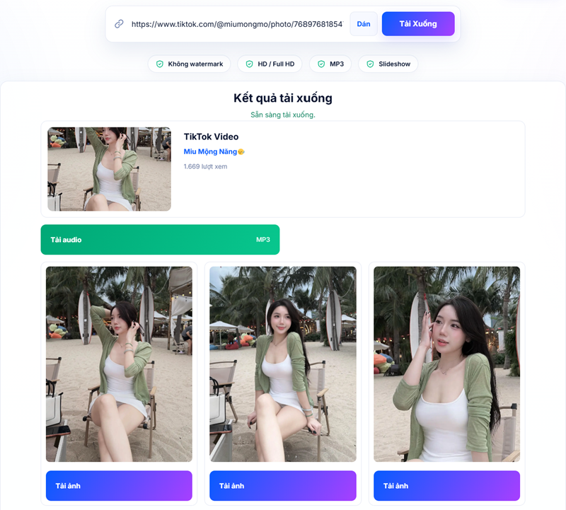 Tải Ảnh/Slideshow TikTok Trên Máy Tính